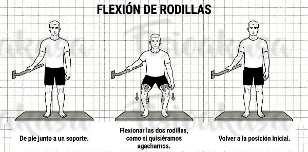 Flexionas Rodillas
